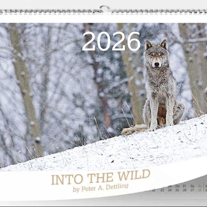 INTO THE WILD Wandkalender